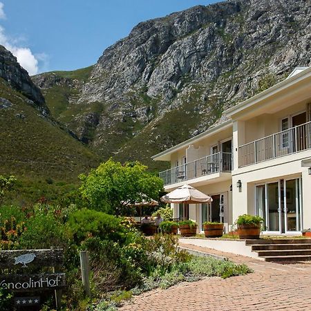 Francolinhof Guest House Hermanus Exteriör bild
