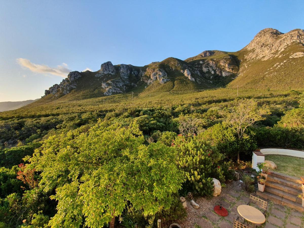 Francolinhof Guest House Hermanus Exteriör bild